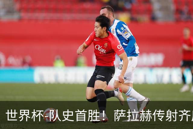 世界杯-队史首胜！萨拉赫传射齐库建功 埃及3-1新西兰升至榜首