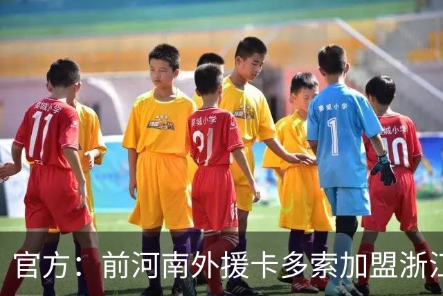 官方：前河南外援卡多索加盟浙江FC，上赛季效力河南30场14球6助