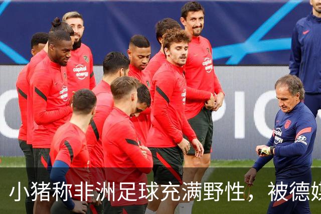 小猪称非洲足球充满野性，被德媒批：骨子里的种族歧视和刻板印象