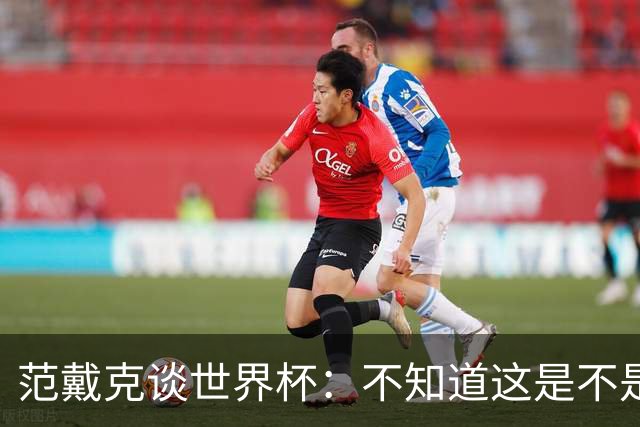 范戴克谈世界杯：不知道这是不是我在国家队的最后一届大赛