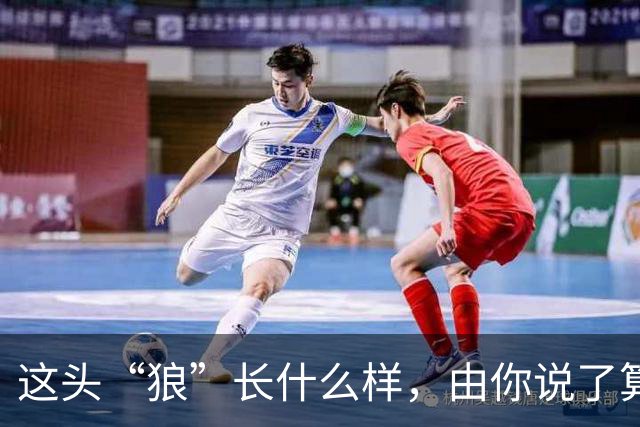 这头“狼”长什么样，由你说了算！璧山狼队吉祥物全城征集