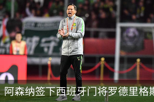 阿森纳签下西班牙门将罗德里格斯，自由身来投